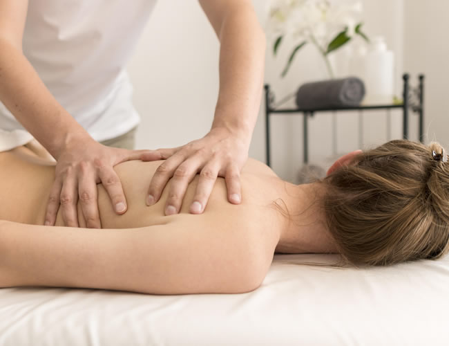 professionel massagebriks